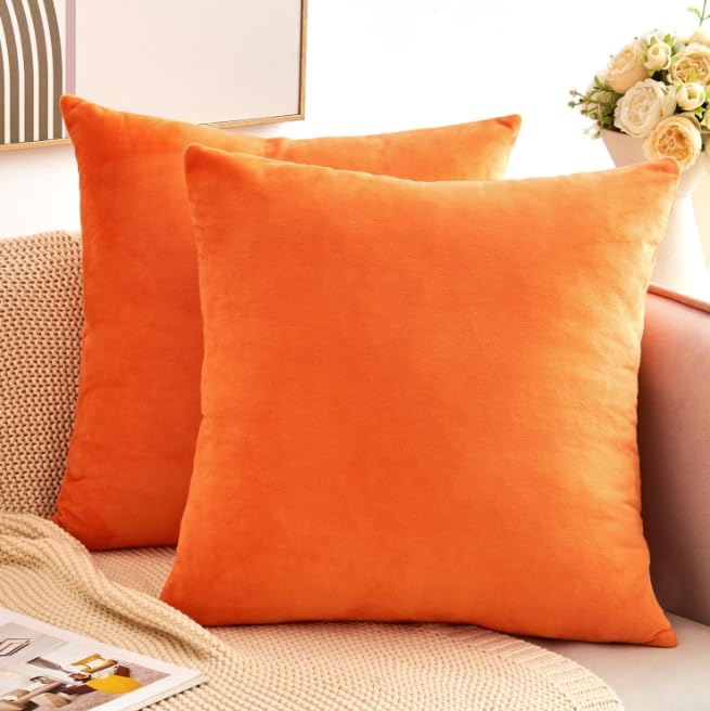 Throw Pillow Covers Rust Set of 2 18x18 Inch Pillow Covers, Soft Velvet Fall Decorative Cases for Couch Sofa Bed, Home Boho Decor, Modern Farmhouse Cushion Covers
