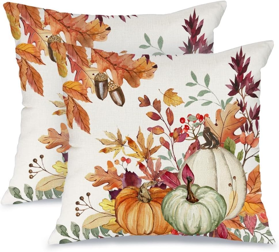AACORS Fall Pumpkin Throw Pillow Covers 18x18, 2 Pack, Thanksgiving Decor