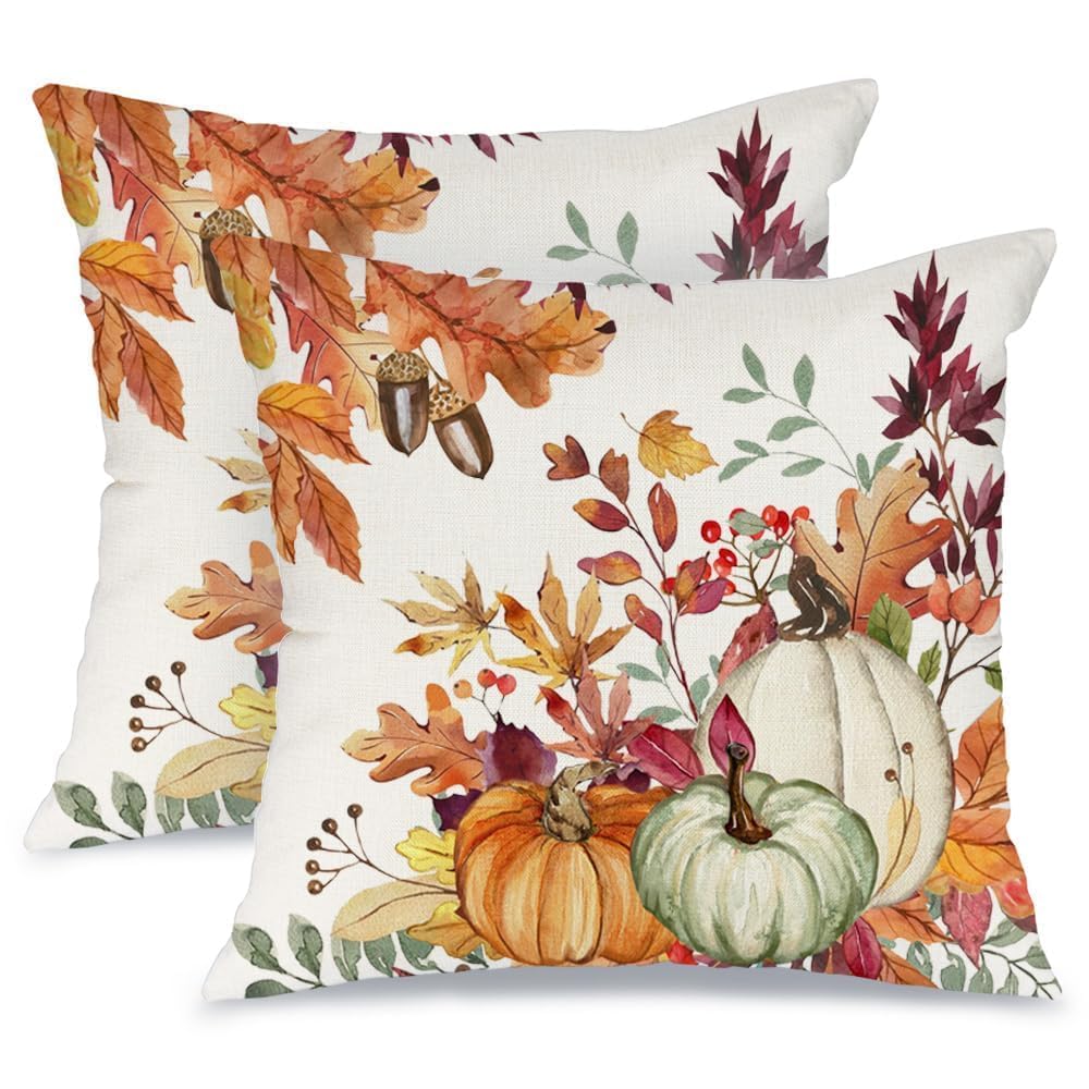 AACORS Fall Pumpkin Throw Pillow Covers 18x18, 2 Pack, Thanksgiving Decor