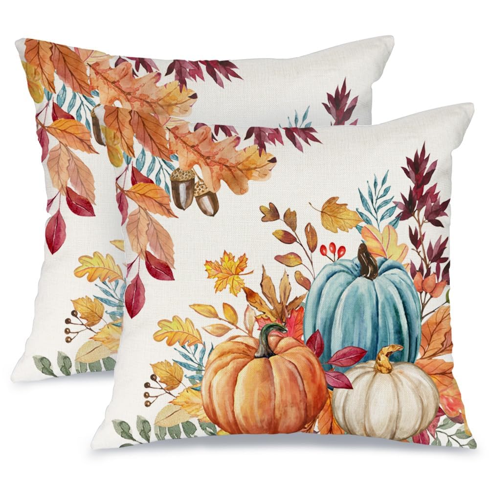 AACORS Fall Pumpkin Throw Pillow Covers 18x18, 2 Pack, Thanksgiving Decor