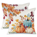 AACORS Fall Pumpkin Throw Pillow Covers 18x18, 2 Pack, Thanksgiving Decor