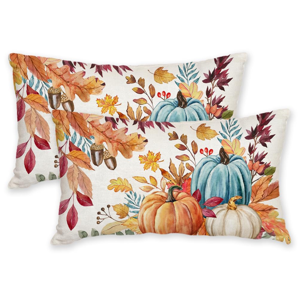 AACORS Fall Pumpkin Throw Pillow Covers 18x18, 2 Pack, Thanksgiving Decor