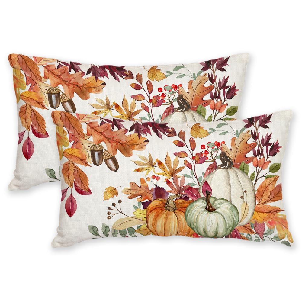 AACORS Fall Pumpkin Throw Pillow Covers 18x18, 2 Pack, Thanksgiving Decor